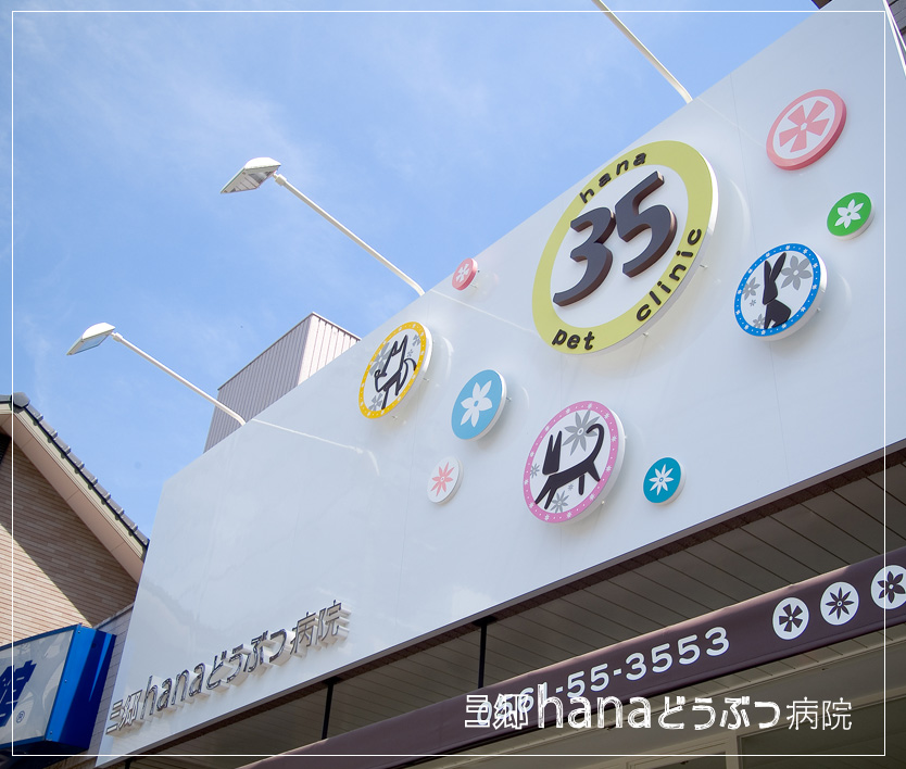 尾張旭市の「三郷hanaどうぶつ病院」｜動物病院のデザインは名古屋のスーパーボギーデザイン事務所